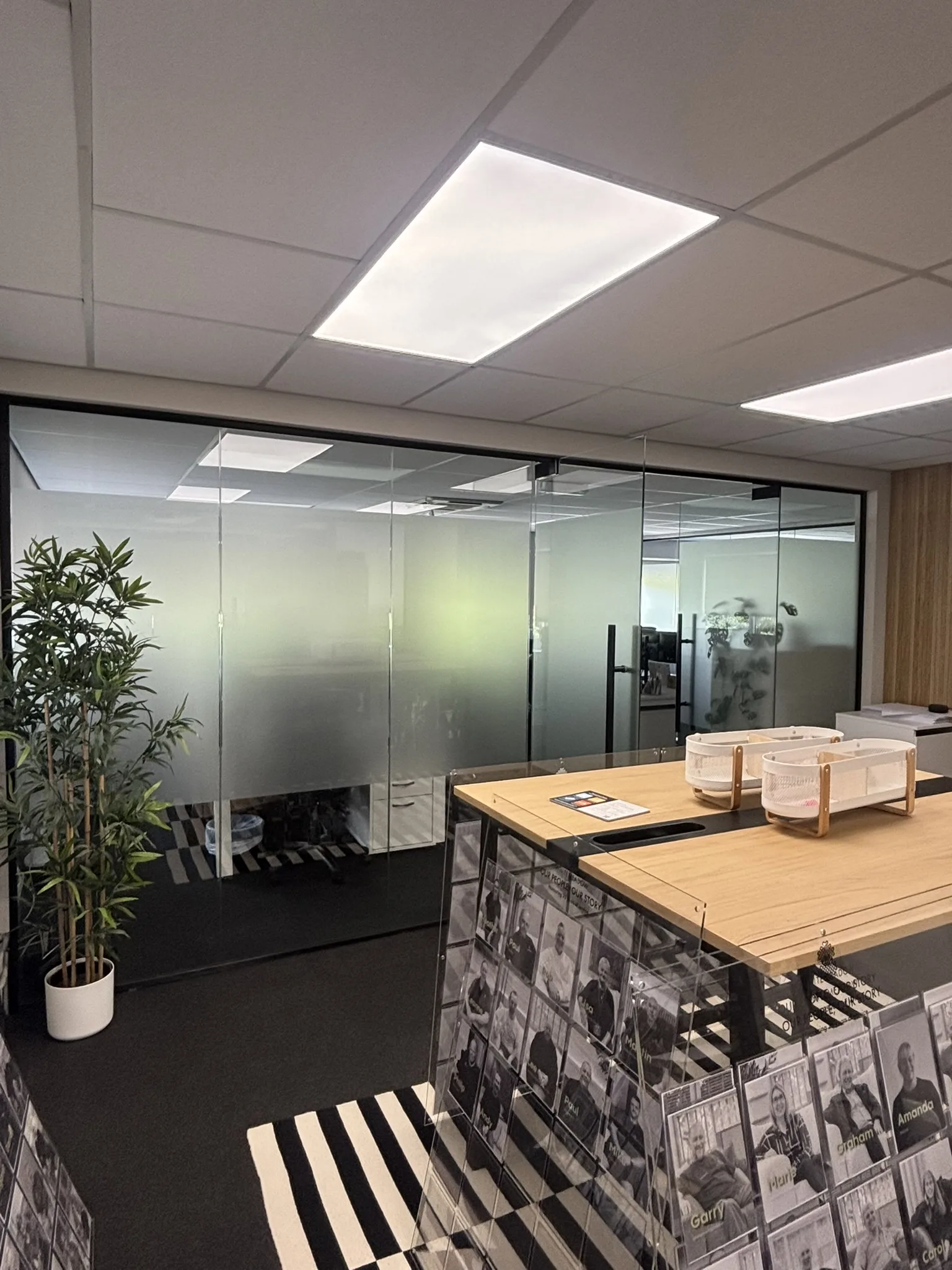 Frosted glass office partitions providing privacy while allowing natural light through the workplace